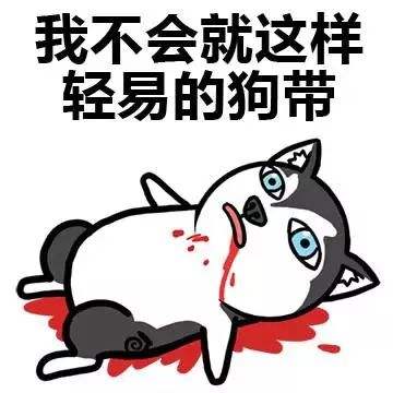 timg (2).jpg timg (2).jpg